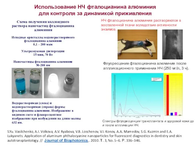 Использование НЧ фталоцианина алюминия для контроля за динамикой приживления Флуоресцения фталоцианина алюминия