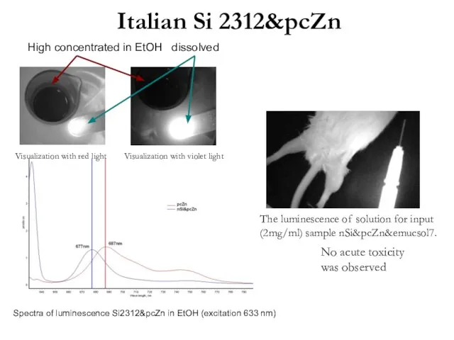 Italian Si 2312&pcZn No acute toxicity was observed The luminescence of solution