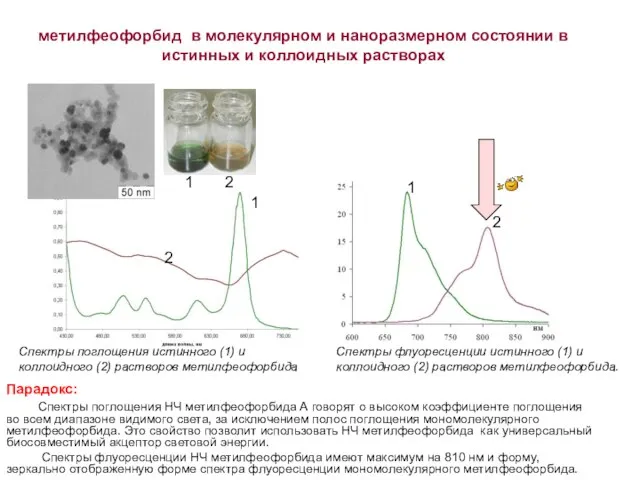 метилфеофорбид в молекулярном и наноразмерном состоянии в истинных и коллоидных растворах 2