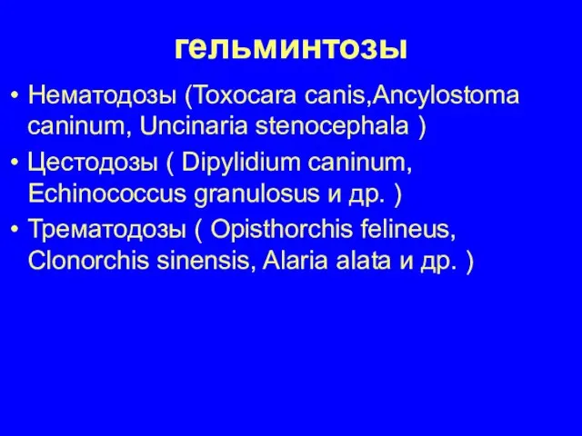гельминтозы Нематодозы (Toxocara canis,Ancylostoma caninum, Uncinaria stenocephala ) Цестодозы ( Dipylidium caninum,