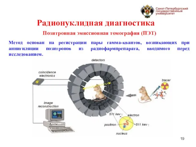 Радионуклидная диагностика Позитронная эмиссионная томография (ПЭТ) Метод основан на регистрации пары гамма-квантов,