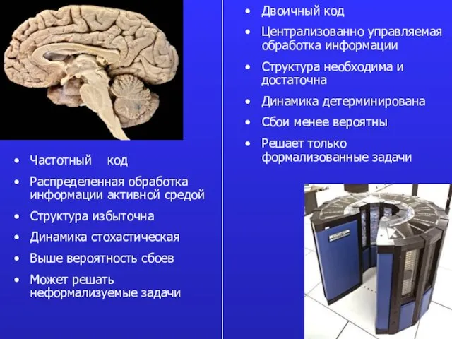 Частотный код Распределенная обработка информации активной средой Структура избыточна Динамика стохастическая Выше