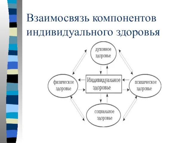 Взаимосвязь компонентов индивидуального здоровья