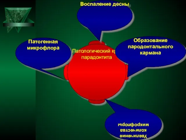 Патологический круг парадонтита Патогенная микрофлора Воспаление десны Образование пародонтального кармана Увеличение количества микрофлоры