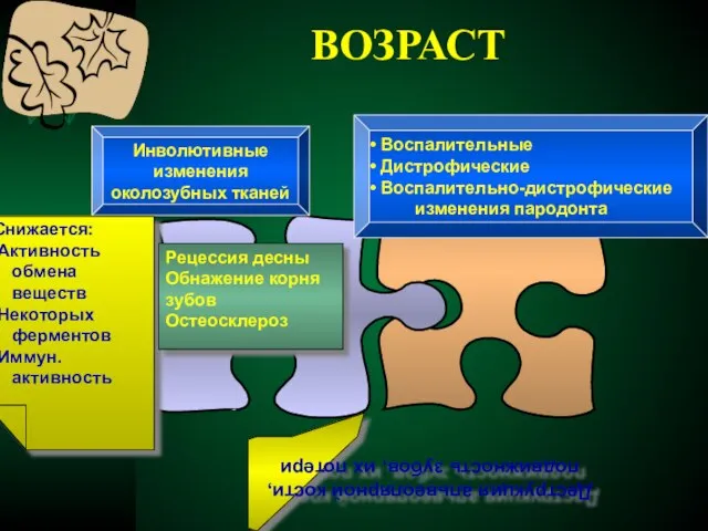 ВОЗРАСТ Инволютивные изменения околозубных тканей Воспалительные Дистрофические Воспалительно-дистрофические изменения пародонта Снижается: Активность