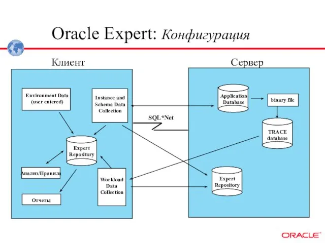 Environment Data (user entered) Instance and Schema Data Collection Expert Repository Анализ/Правила