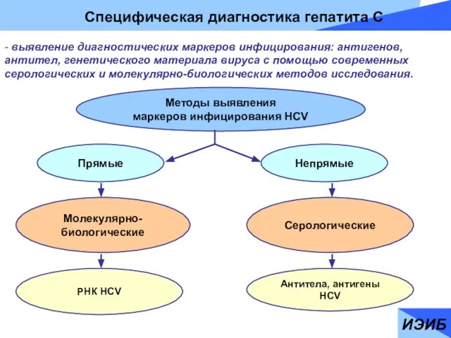 ИЭИБ Специфическая диагностика гепатита С - выявление диагностических маркеров инфицирования: антигенов, антител,