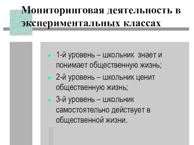 Мониторинговая деятельность в экспериментальных классах 1-й уровень – школьник знает и понимает