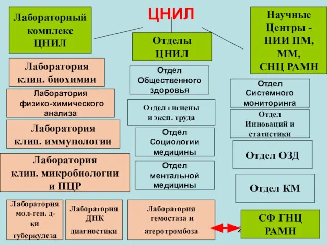 ЦНИЛ Лабораторный комплекс ЦНИЛ Отделы ЦНИЛ Научные Центры - НИИ ПМ, ММ,