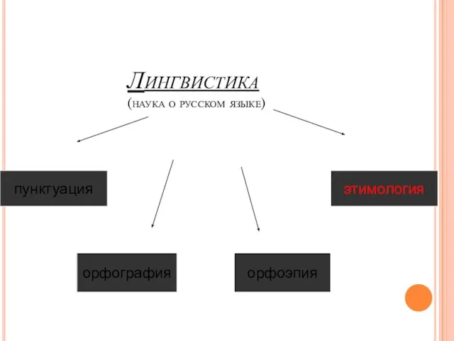 Лингвистика (наука о русском языке) пунктуация орфография орфоэпия этимология