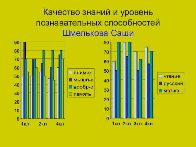 Качество знаний и уровень познавательных способностей Шмелькова Саши