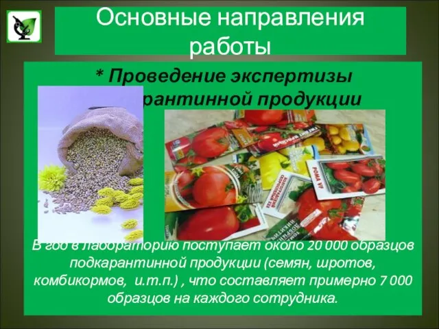 Основные направления работы * Проведение экспертизы подкарантинной продукции В год в лабораторию