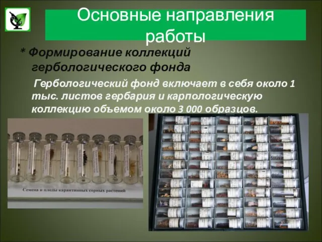 Основные направления работы * Формирование коллекций гербологического фонда Гербологический фонд включает в
