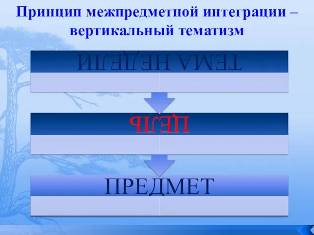 Принцип межпредметной интеграции – вертикальный тематизм