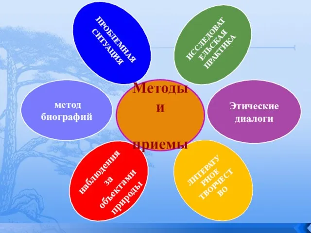 ПРОБЛЕМНАЯ СИТУАЦИЯ ЛИТЕРАТУРНОЕ ТВОРЧЕСТВО Этические диалоги ИССЛЕДОВАТЕЛЬСКАЯ ПРАКТИКА метод биографий наблюдения за