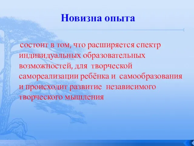 Новизна опыта состоит в том, что расширяется спектр индивидуальных образовательных возможностей, для