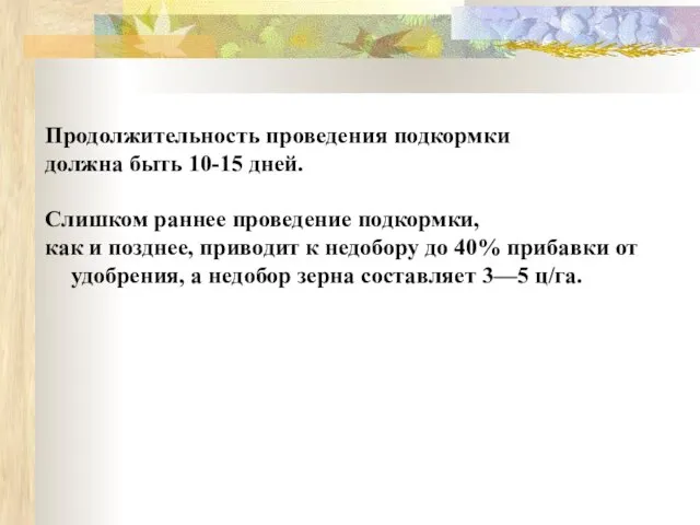 Продолжительность проведения подкормки должна быть 10-15 дней. Слишком раннее проведение подкормки, как