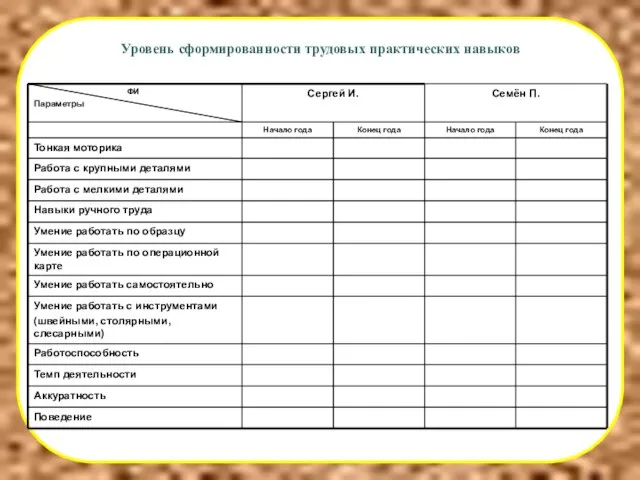 Уровень сформированности трудовых практических навыков