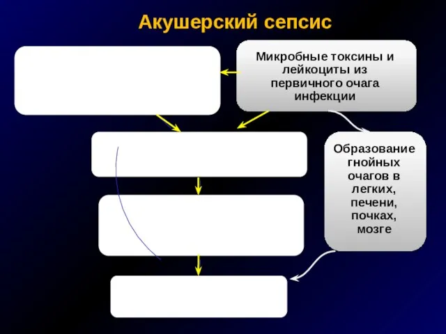 Акушерский сепсис