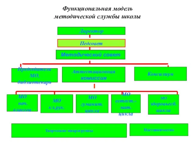 Директор Методический совет Председатели МО, библиотекарь Аттестационная комиссия Консилиум МО нач. классов