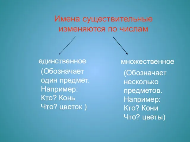 Имена существительные изменяются по числам единственное множественное (Обозначает один предмет. Например: Кто?