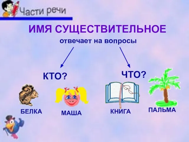 ИМЯ СУЩЕСТВИТЕЛЬНОЕ отвечает на вопросы КТО? ЧТО? БЕЛКА МАША КНИГА ПАЛЬМА