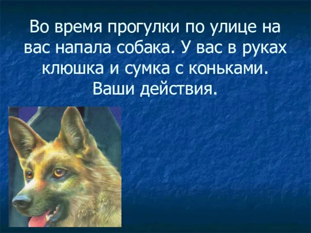 Во время прогулки по улице на вас напала собака. У вас в