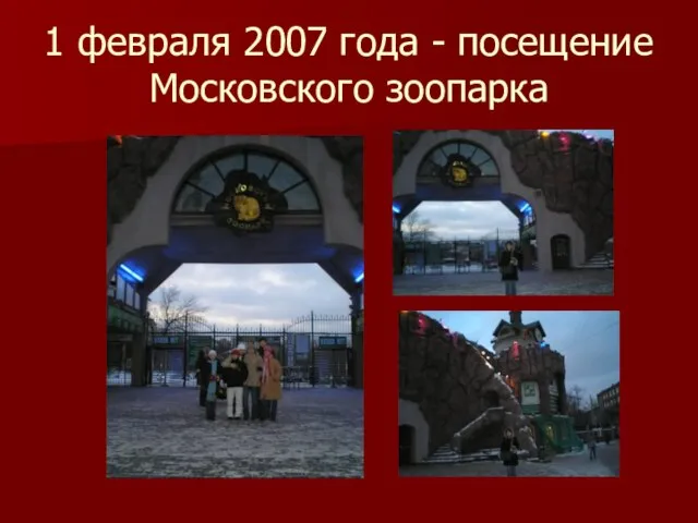 1 февраля 2007 года - посещение Московского зоопарка