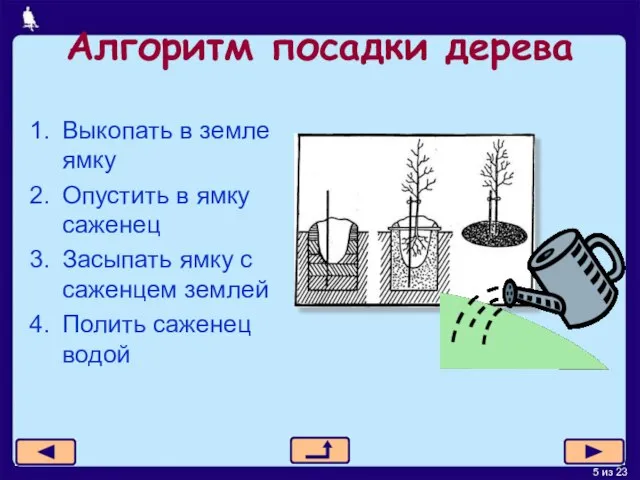 Алгоритм посадки дерева Выкопать в земле ямку Опустить в ямку саженец Засыпать