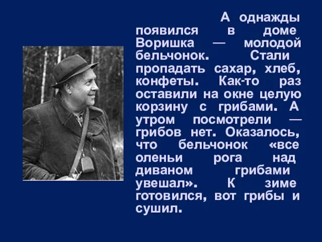 А однажды появился в доме Воришка — молодой бельчонок. Стали пропадать сахар,