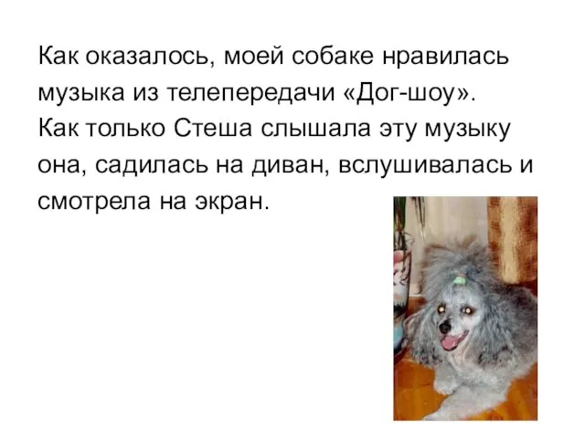 Как оказалось, моей собаке нравилась музыка из телепередачи «Дог-шоу». Как только Стеша