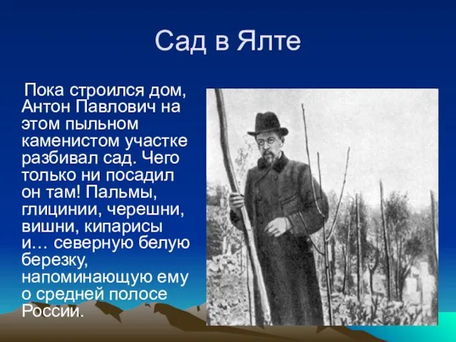 Сад в Ялте Пока строился дом, Антон Павлович на этом пыльном каменистом