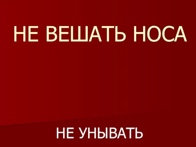 НЕ ВЕШАТЬ НОСА НЕ УНЫВАТЬ