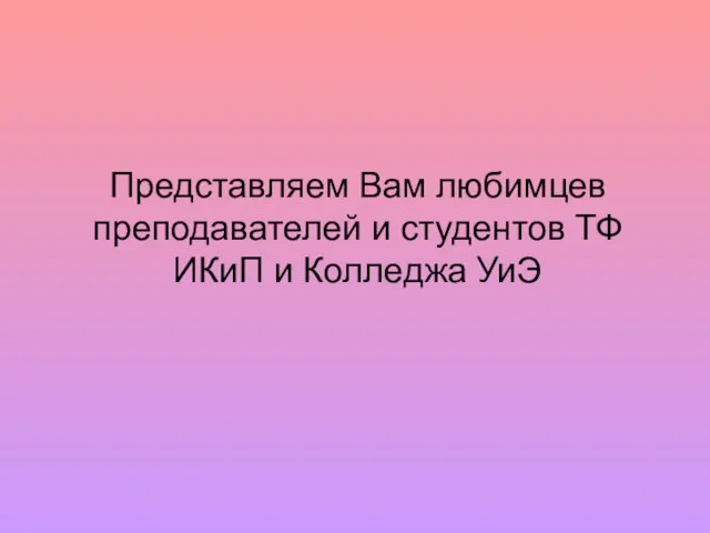 Представляем Вам любимцев преподавателей и студентов ТФ ИКиП и Колледжа УиЭ