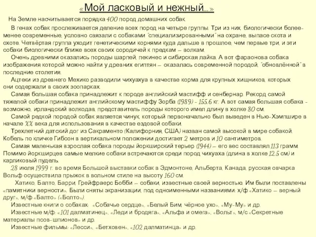 «Мой ласковый и нежный…» На Земле насчитывается порядка 400 пород домашних собак.