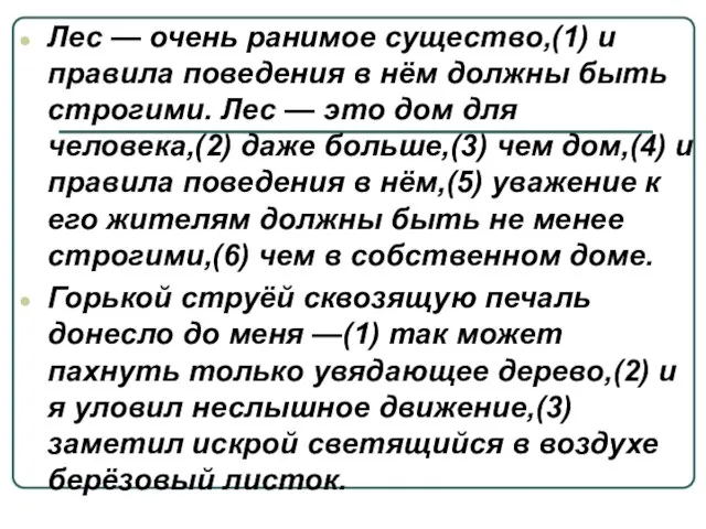 Лес — очень ранимое существо,(1) и правила поведения в нём должны быть