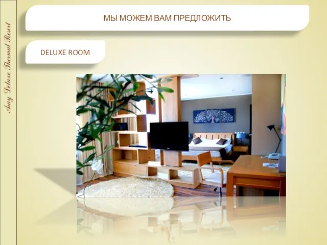 МЫ МОЖЕМ ВАМ ПРЕДЛОЖИТЬ DELUXE ROOM