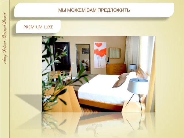 МЫ МОЖЕМ ВАМ ПРЕДЛОЖИТЬ PREMIUM LUXE