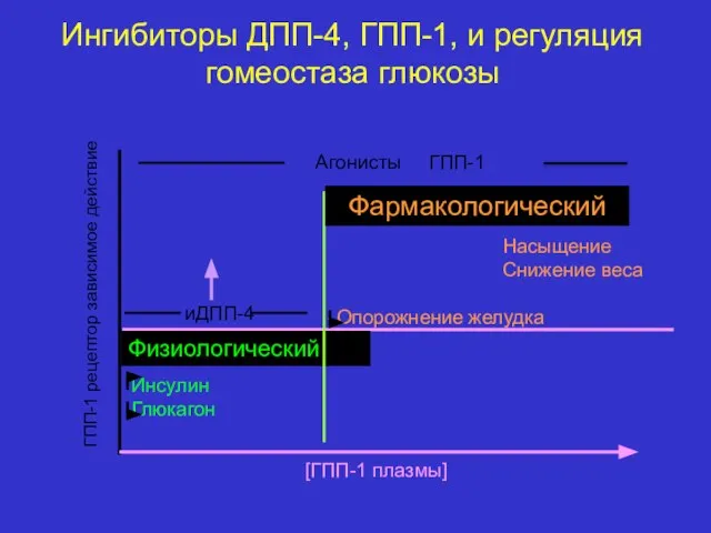 Ингибиторы ДПП-4, ГПП-1, и регуляция гомеостаза глюкозы Инсулин Глюкагон [ГПП-1 плазмы] Физиологический