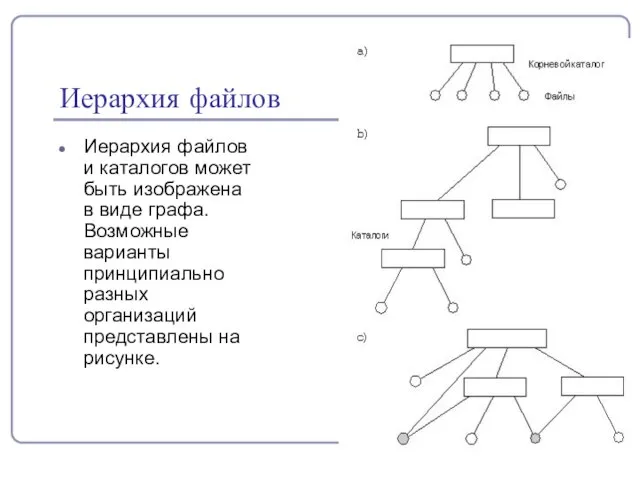 Иерархия файлов Иерархия файлов и каталогов может быть изображена в виде графа.