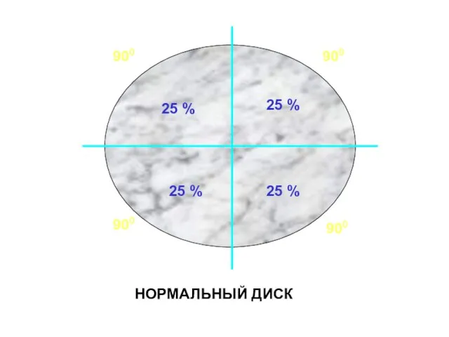 25 % 25 % 25 % 25 % 900 900 900 900 НОРМАЛЬНЫЙ ДИСК