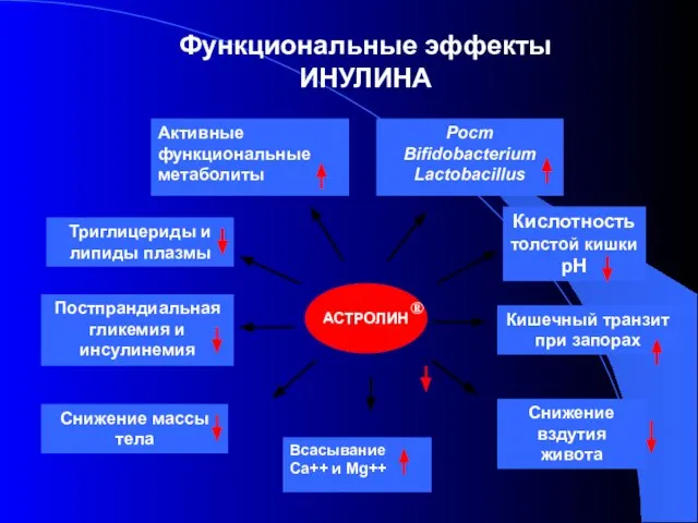 Постпрандиальная гликемия и инсулинемия Всасывание Ca++ и Mg++ Рост Bifidobacterium Lactobacillus Активные