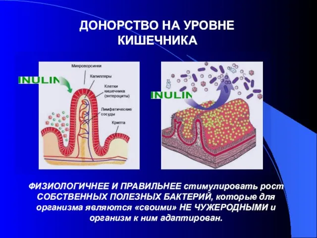 ФИЗИОЛОГИЧНЕЕ И ПРАВИЛЬНЕЕ стимулировать рост СОБСТВЕННЫХ ПОЛЕЗНЫХ БАКТЕРИЙ, которые для организма являются