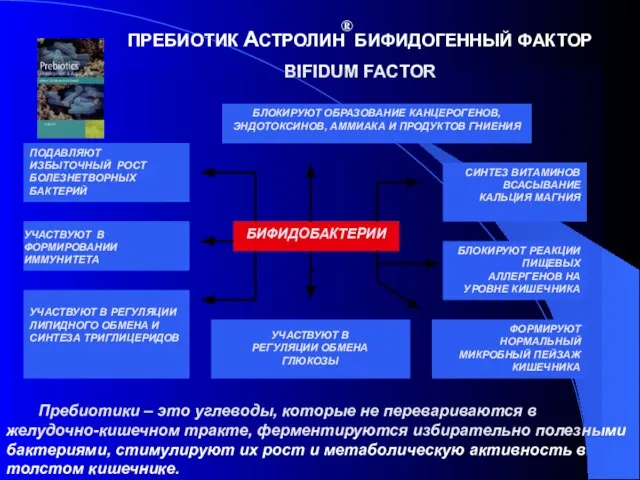 УЧАСТВУЮТ В ФОРМИРОВАНИИ ИММУНИТЕТА УЧАСТВУЮТ В РЕГУЛЯЦИИ ОБМЕНА ГЛЮКОЗЫ ПРЕБИОТИК АСТРОЛИН БИФИДОГЕННЫЙ