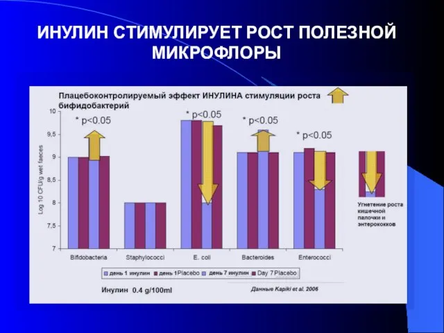 ИНУЛИН СТИМУЛИРУЕТ РОСТ ПОЛЕЗНОЙ МИКРОФЛОРЫ