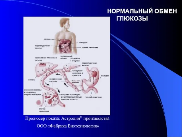 НОРМАЛЬНЫЙ ОБМЕН ГЛЮКОЗЫ Продюсер показа: Астролин производства ООО «Фабрика Биотехнология» ®