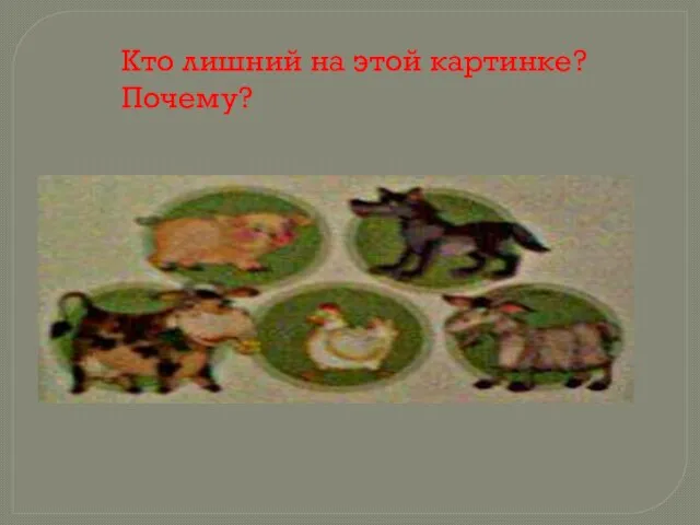 Кто лишний на этой картинке? Почему?