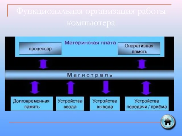 Функциональная организация работы компьютера