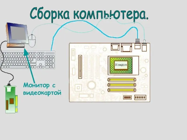 Сборка компьютера. Монитор с видеокартой