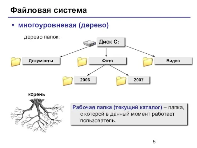 Файловая система многоуровневая (дерево) Рабочая папка (текущий каталог) – папка, с которой